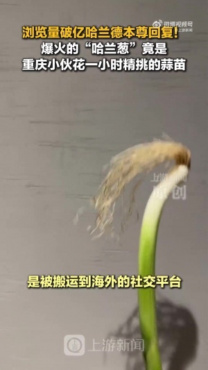 cos哈兰德的是蒜苗不是葱!重庆小伙才是原作者 视频被偷浏览破亿