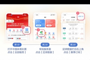 9月11日竞彩看点:低迷马赛客战雷恩